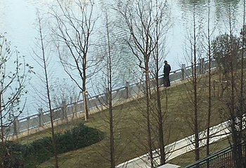 三垟湿地第 15 张图片