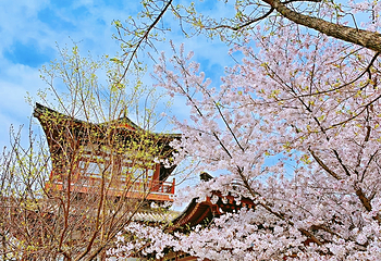 青龙寺第 65 张图片