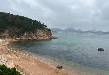 海驴岛第 48 张图片