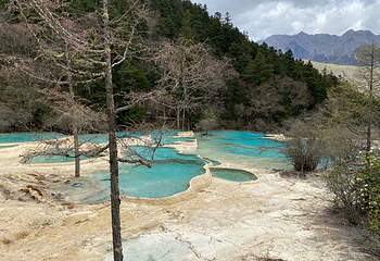 黄龙风景名胜区第 331 张图片