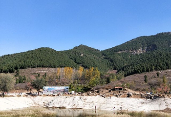 官护山第 16 张图片