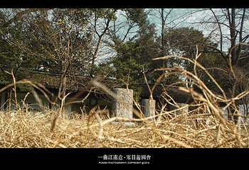 罗汉寺第 9 张图片