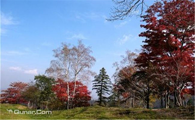 白石山国家森林公园第 6 张图片