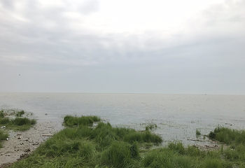 岳阳楼景区第 206 张图片