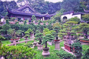 万景山庄第 11 张图片