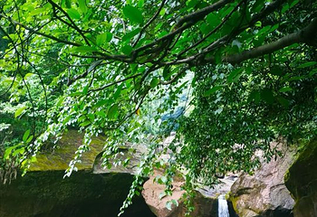 成都天台山旅游景区第 67 张图片