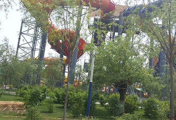 呼兰河口湿地公园第 64 张图片
