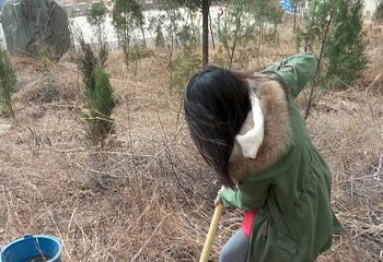 怀柔植树基地第 10 张图片