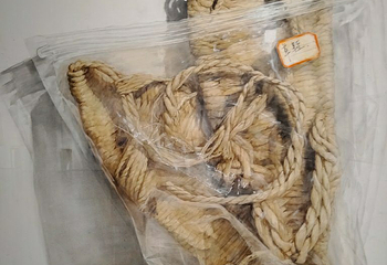 天津美术馆第 5 张图片