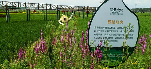 稻梦空间第 12 张图片