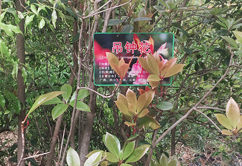 小琅环洞第 2 张图片
