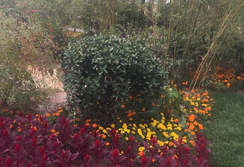 银川花博园第 57 张图片