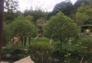 花水湾温泉度假区第 100 张图片