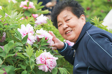 中国国花园第 148 张图片