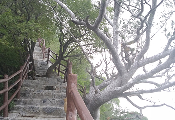 神农山风景区第 44 张图片