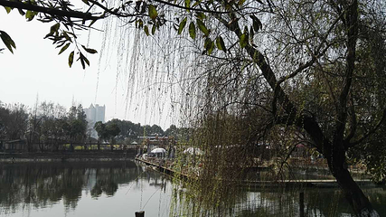 新都泥巴沱第 6 张图片