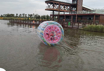 台州湾湿地公园第 5 张图片