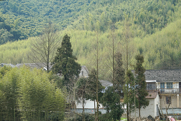 莫干山风景名胜区第 121 张图片