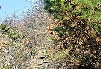 石柱峰第 21 张图片