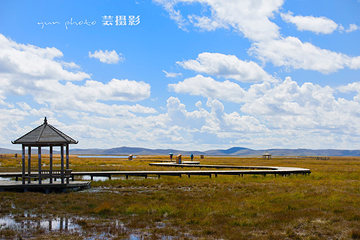 若尔盖花湖生态旅游区第 55 张图片