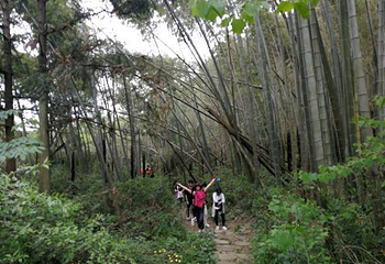 上青古道第 8 张图片