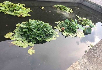 走马塘村第 2 张图片