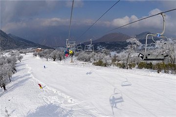 太子岭滑雪场第 23 张图片