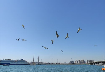 大连滨海国家地质公园第 27 张图片