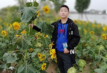 金卉庄园第 252 张图片