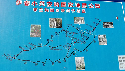 茅兰沟国家森林公园第 62 张图片