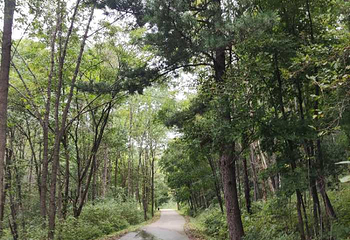 青山国家森林公园第 3 张图片