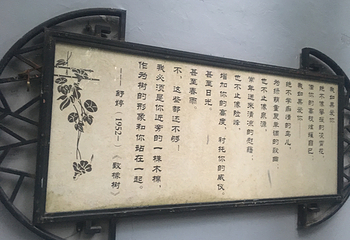 甜爱路第 15 张图片