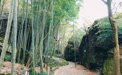 汤江岩风景区第 17 张图片