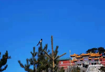 东湖醋园第 35 张图片