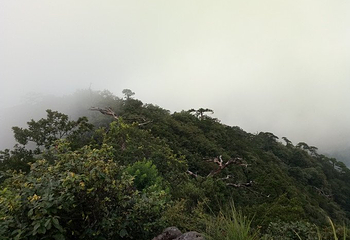 军峰山第 20 张图片