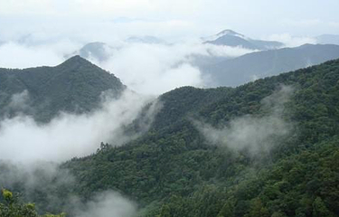 皂幕山旅游风景区第 21 张图片