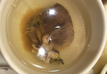 樟树湾大酒店温泉第 16 张图片