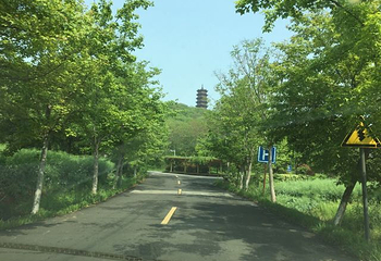 高淳国际慢城第 42 张图片