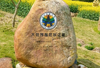 嵩口镇第 19 张图片