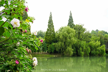 花溪国家城市湿地公园十里河滩景区第 36 张图片