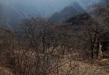 全胜峡景区第 30 张图片