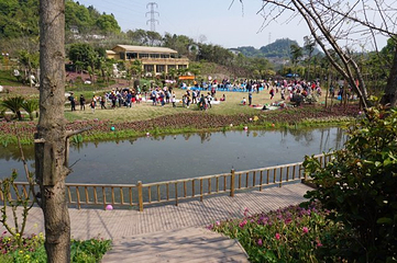 花香田园第 30 张图片