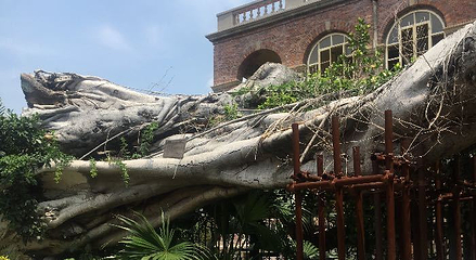晟达海帆船俱乐部第 4 张图片