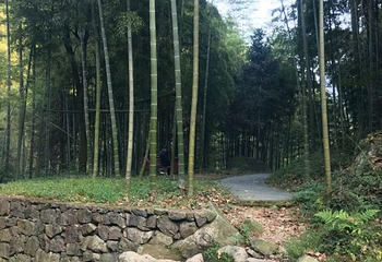 彩虹谷第 7 张图片