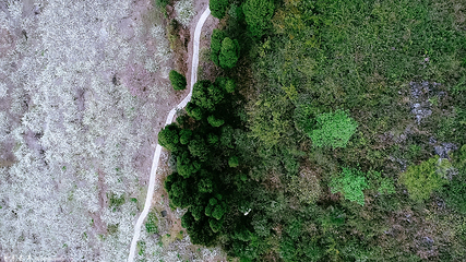 统景印盒李花生态旅游区第 18 张图片