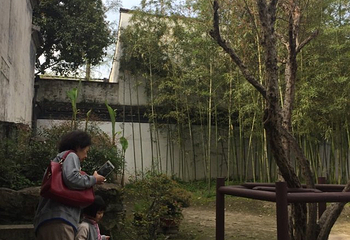 青藤书屋第 20 张图片