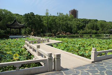 虎丘山风景名胜区第 254 张图片