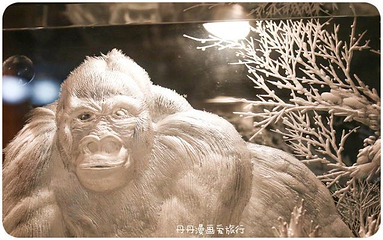 吴子熊玻璃艺术馆第 18 张图片
