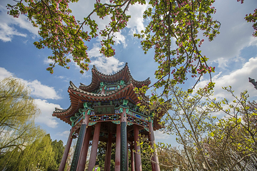 大明湖景区第 100 张图片