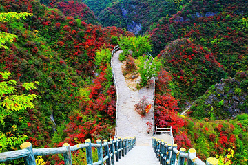 天蓬山寨第 8 张图片